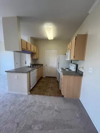 Photo #5: 224095448 Listing