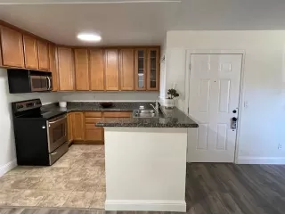 Photo #2: 224095506 Listing