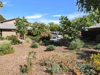 Photo #2: 224095859 Listing