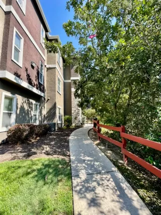 Photo #1: 224096379 Listing