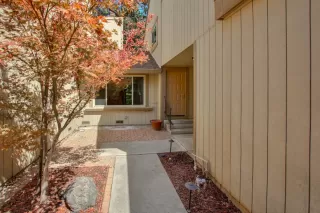 Photo #1: 224096695 Listing