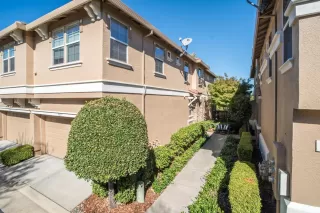 Photo #3: 224097218 Listing