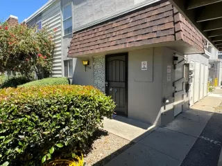 Photo #1: 224097862 Listing