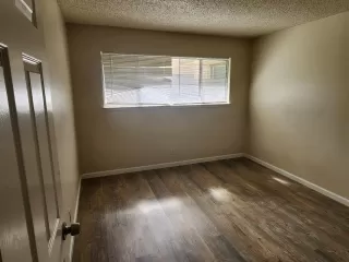 Photo #4: 224098143 Listing 