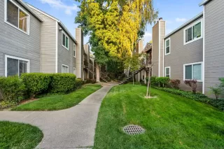 Photo #1: 224098219 Listing 