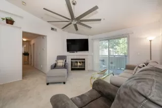 Photo #1: 224098225 Listing 