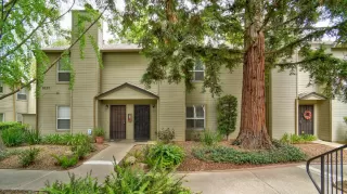 Photo #1: 224099141 Listing 