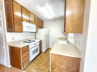 Photo #4: 224099267 Listing 