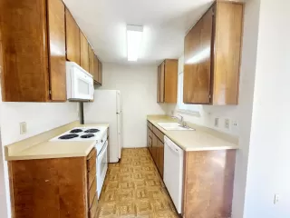 Photo #5: 224099267 Listing 