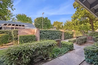 Photo #2: 224100851 Listing