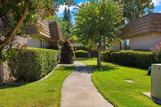 Photo #2: 224100979 Listing