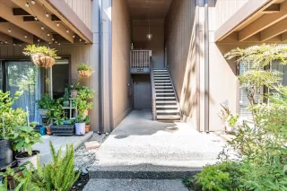 Photo #1: 224101029 Listing