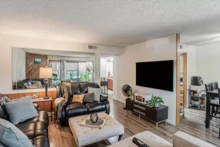 Photo #5: 224101029 Listing