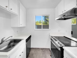 Photo #1: 224102219 Listing 