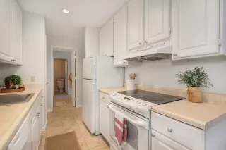 Photo #3: 224102325 Listing