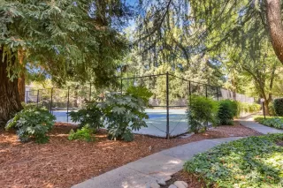 Photo #3: 224103781 Listing 