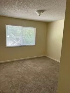 Photo #5: 224104839 Listing