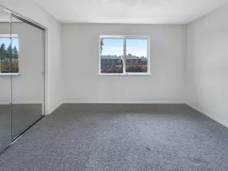 Photo #4: 224106081 Listing