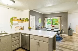 Photo #1: 224107458 Listing 