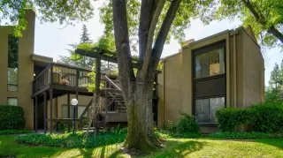 Photo #1: 224108421 Listing