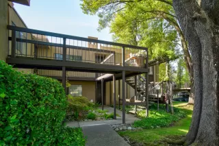 Photo #5: 224108421 Listing