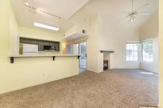 Photo #3: 224108486 Listing