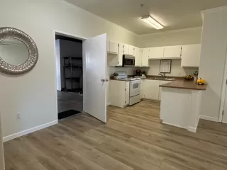 Photo #3: 224109183 Listing 