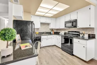 Photo #6: 224109652 Listing 