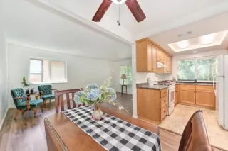 Photo #1: 224110328 Listing 