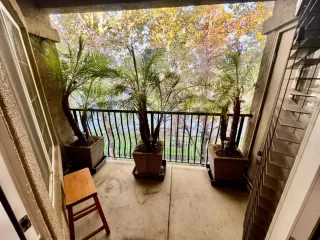 Photo #2: 224110543 Listing 