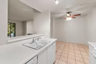 Photo #6: 224111373 Listing