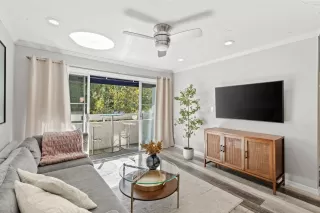 Photo #1: 224111424 Listing 