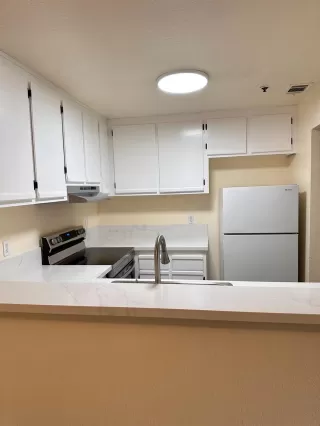 Photo #2: 224111679 Listing