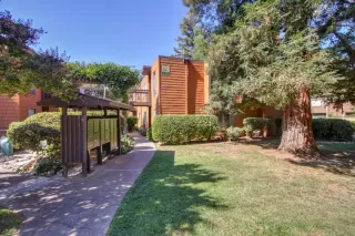 Photo #1: 224111814 Listing