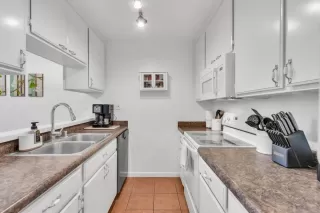 Photo #4: 224112926 Listing