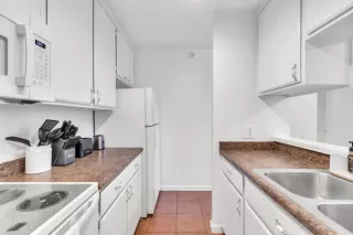 Photo #5: 224112926 Listing