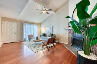 Photo #2: 224113064 Listing 