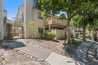 Photo #1: 224113130 Listing