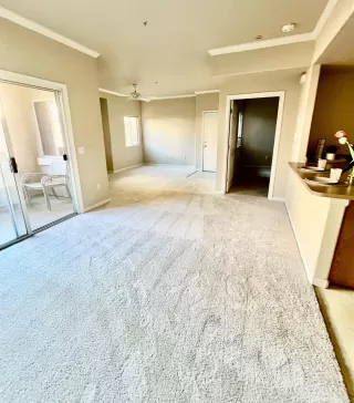 Photo #1: 224115272 Listing 