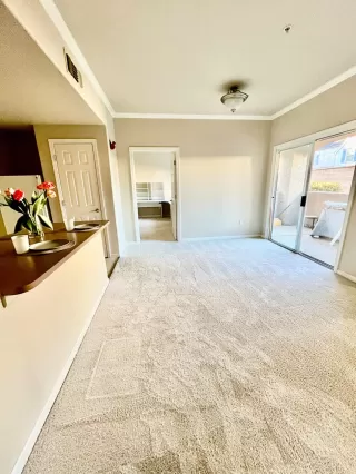 Photo #2: 224115272 Listing 