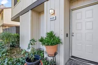 Photo #4: 224116365 Listing