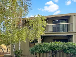 Photo #1: 224116476 Listing