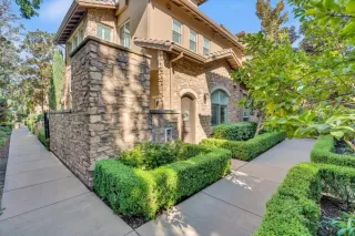 Photo #1: 224119524 Listing