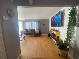 Photo #5: 224120755 Listing