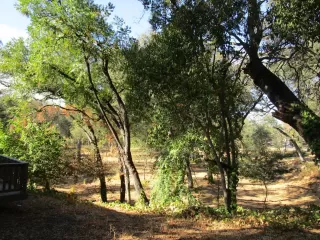 Photo #4: 224121114 Listing 