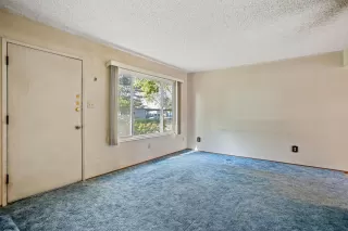 Photo #5: 224121265 Listing 