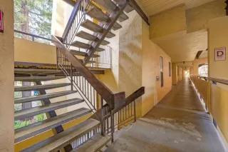 Photo #3: 224121331 Listing