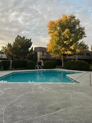 Photo #6: 224121465 Listing