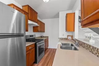 Photo #5: 224122604 Listing 
