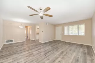 Photo #5: 224123194 Listing 